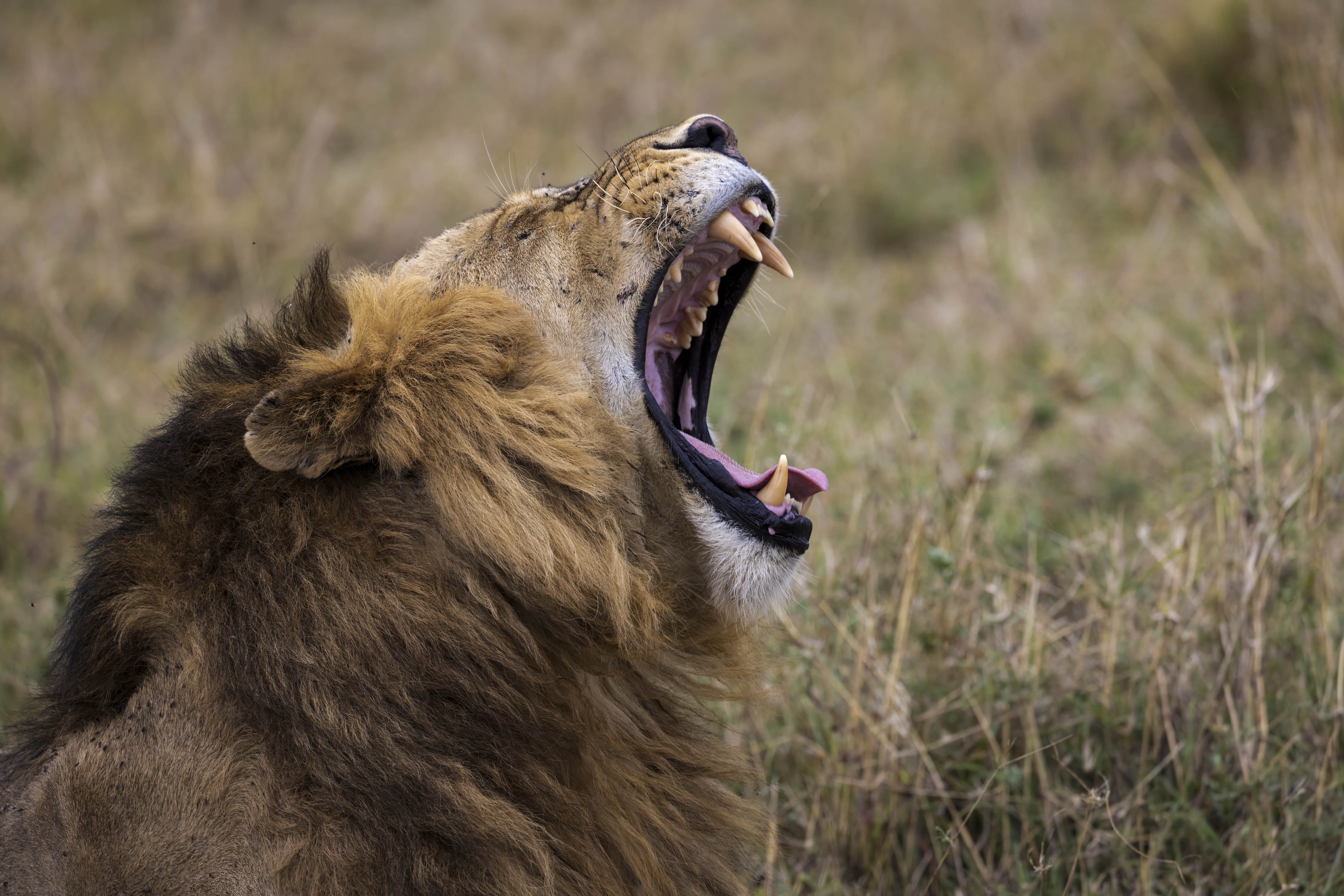 November 10, 2022-163732-5-Edit.jpg